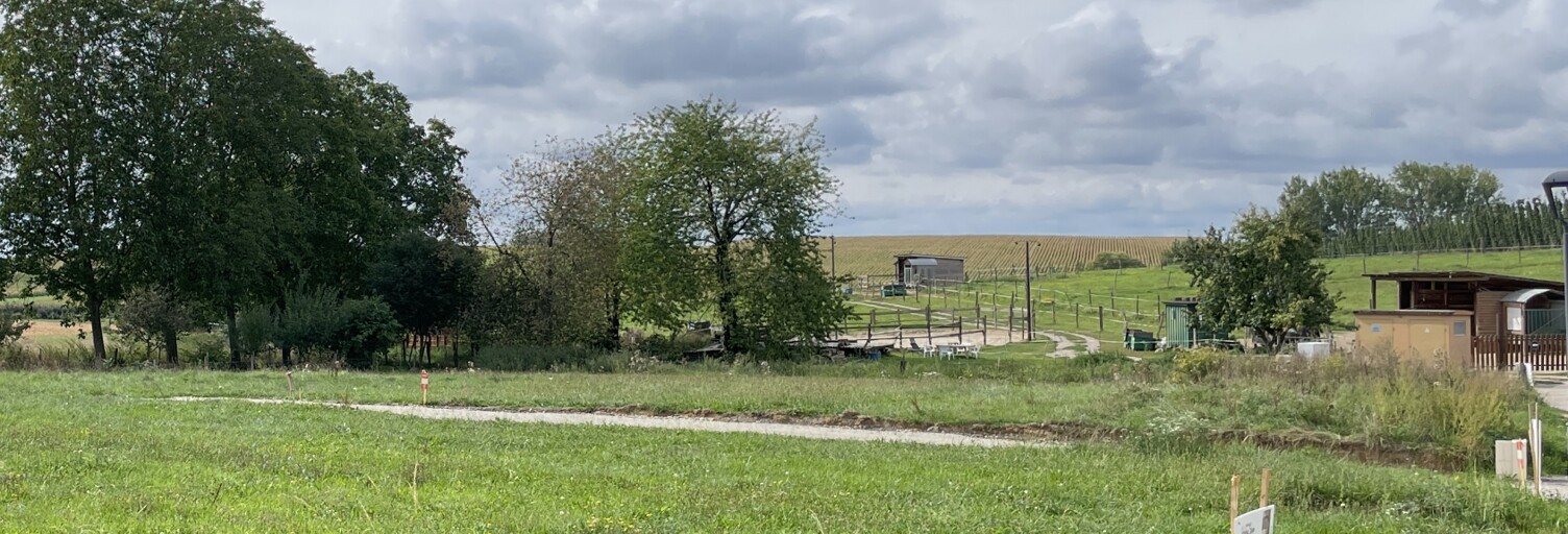 Terrain  635 m² à vendre à Batzendorf (67500)