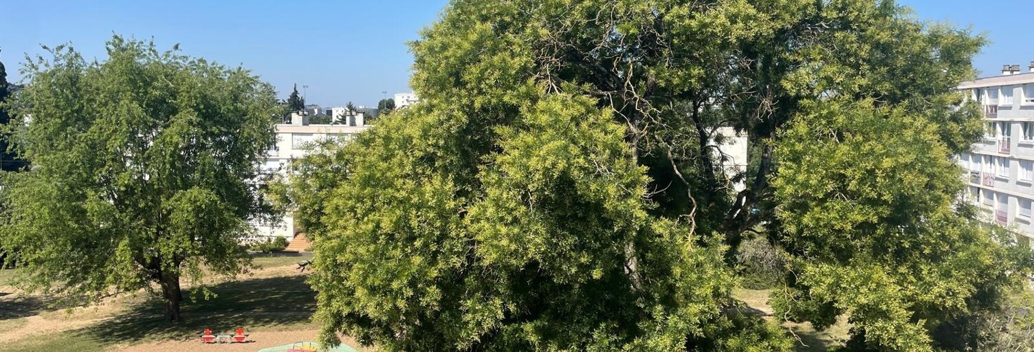 Appartement 4 Pièces 61 m² à vendre à Tours (37100)