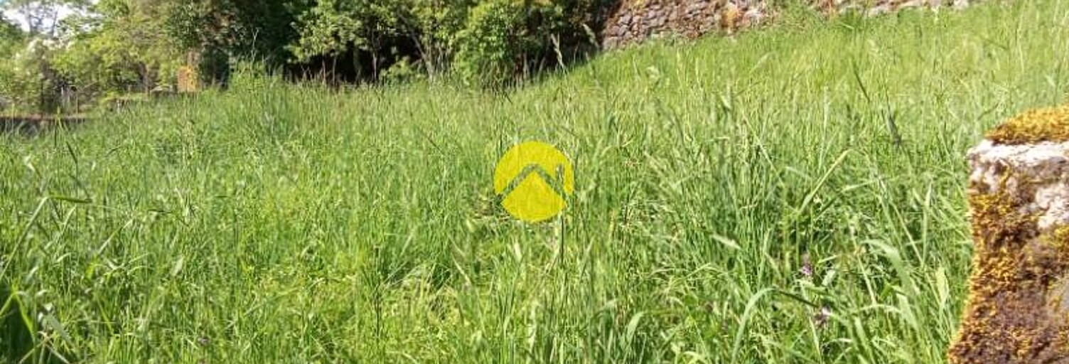 Maison 1 Pièce  m² à vendre à Pierrefort (15230)