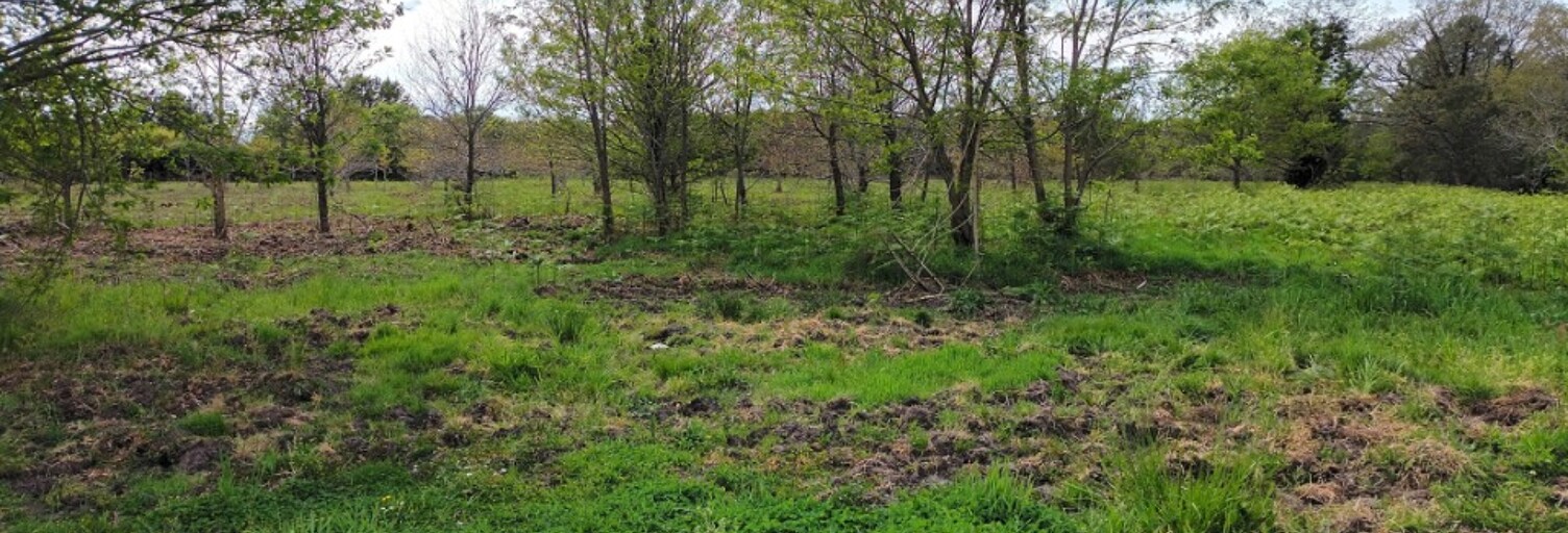 Terrain  300 m² à vendre à Gastes (40160)