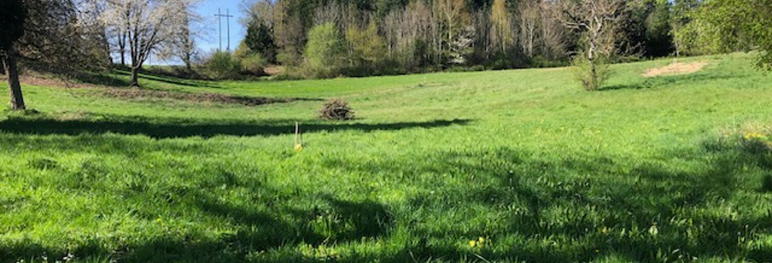 Terrain  4941 m² à vendre à Thiers (63300)