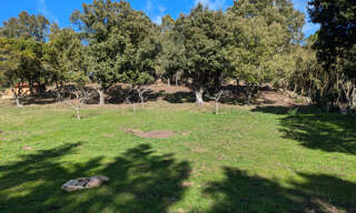 Terrain  1188 m² à vendre à Foce (20100)