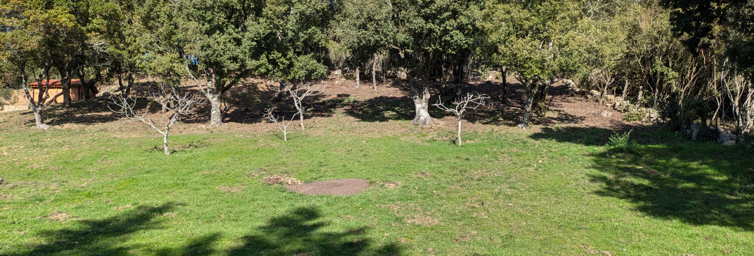 Terrain  1188 m² à vendre à Foce (20100)