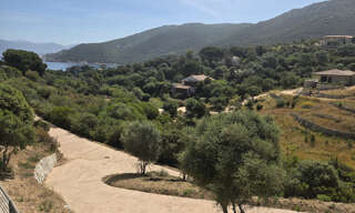 Maison 5 Pièces 200 m² à vendre à Belvédère-Campomoro (20110)