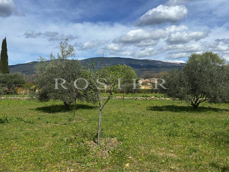 Bedoin - Parcelle arborée de 1800 m² constructible. — photo 1