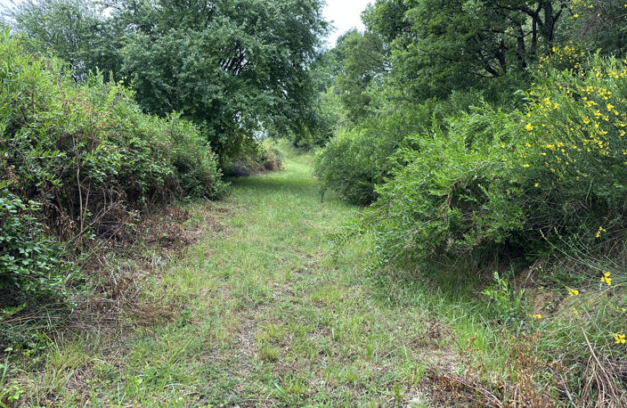 ferme à renover entierement avec 18 HA libre — photo 2
