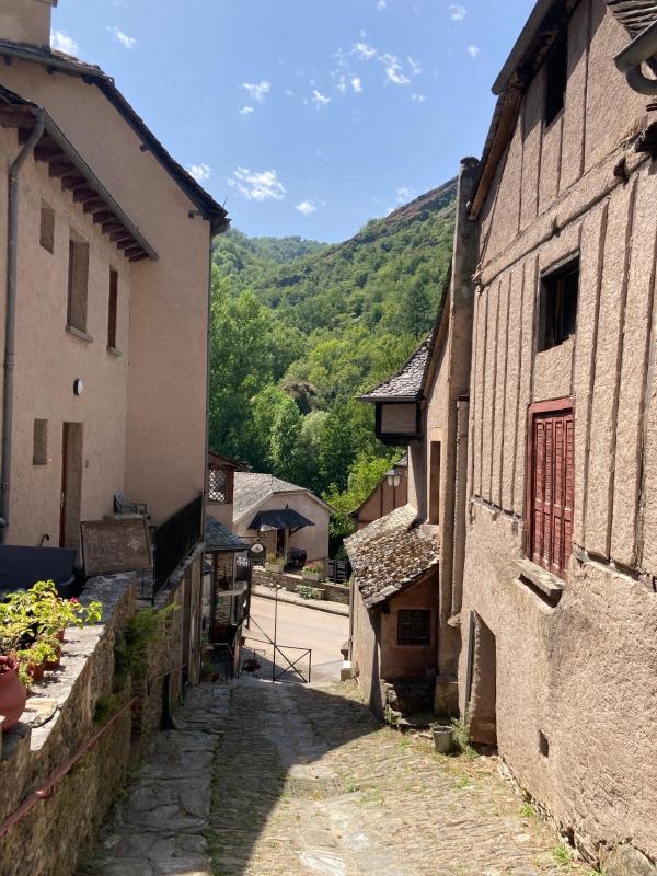 Villa / Maison  T9 à vendre Conques-en-Rouergue 12320