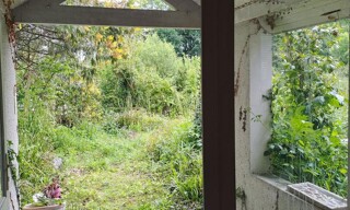Photo N° 8