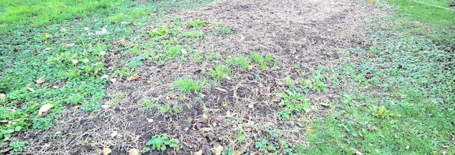 Terrain  690 m² à vendre à Irigny (69540)