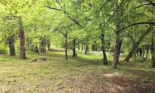 Photo N° 3