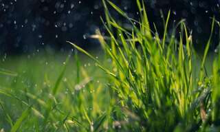 Terrain  372 m² à vendre à Villaines-sous-Bois (95570)