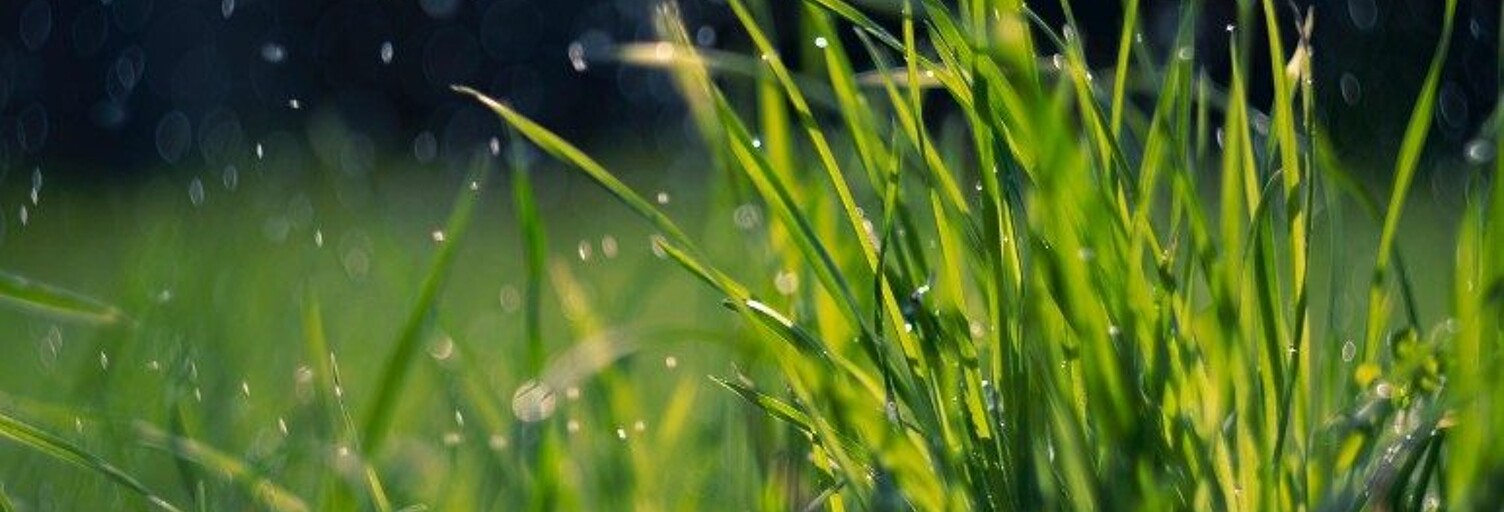 Terrain  372 m² à vendre à Villaines-sous-Bois (95570)