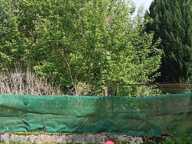 terrain avec dépendance non constructible — photo 2