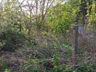 terrain avec dépendance non constructible — photo 3