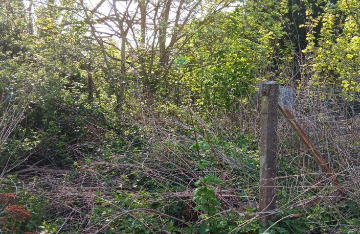terrain avec dépendance non constructible — photo 3
