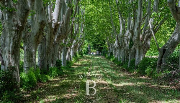 Villa / Maison 30 pièces  à vendre Lourmarin 84160