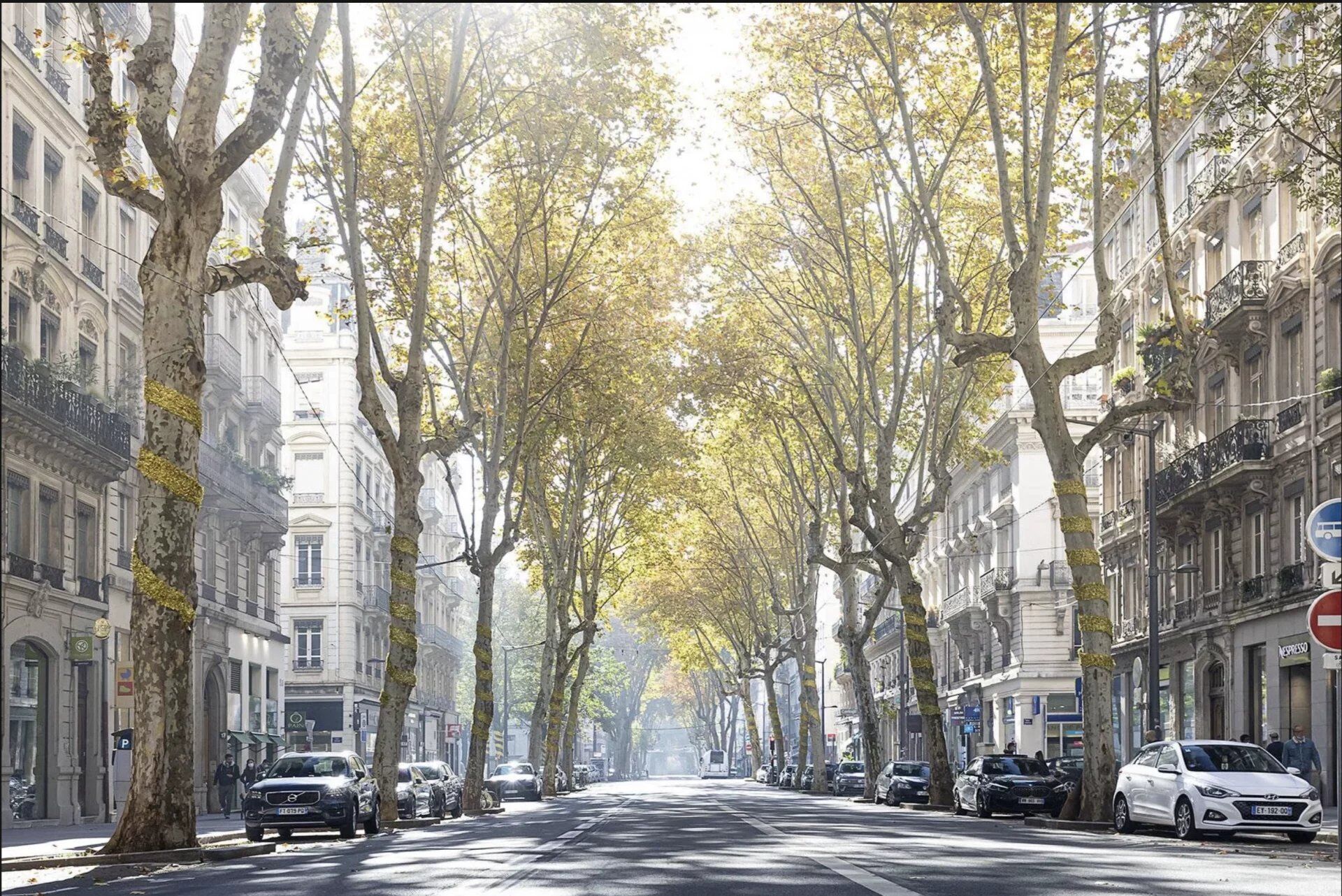 Appartement L T3