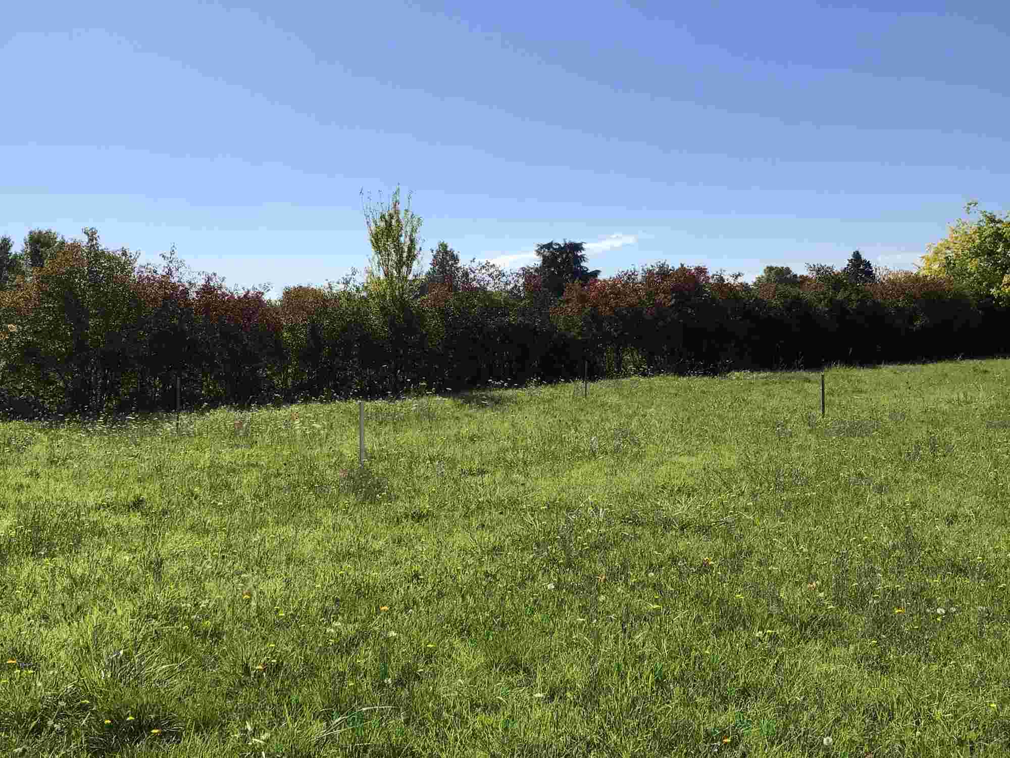 Agence immobilière de HESTI-HABITAT