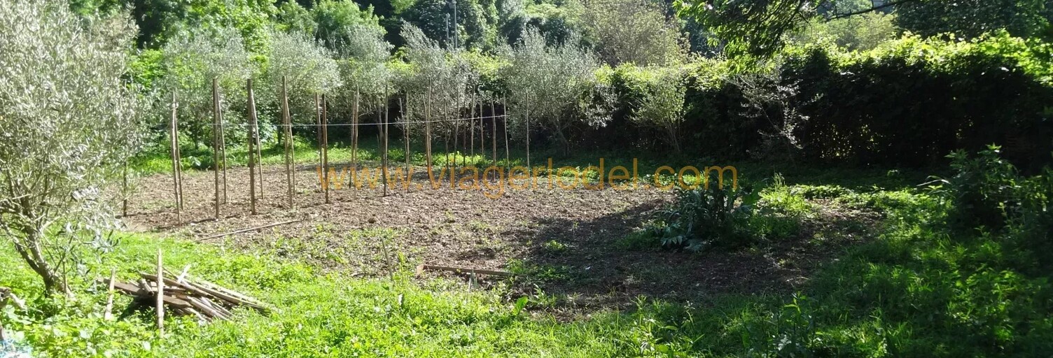 Maison 70 m² en viager Les Aires (34600)