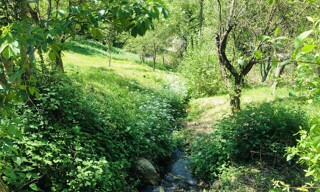Photo N° 6