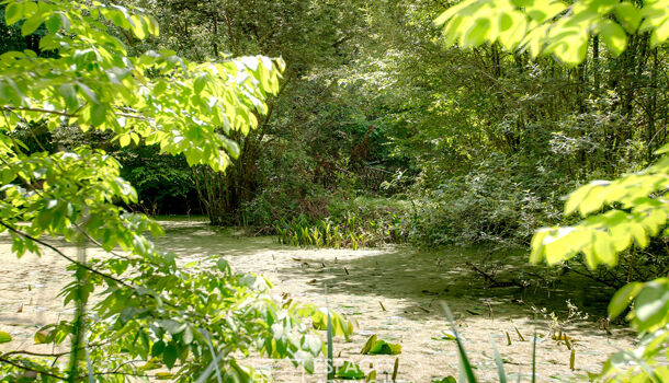 Villa / Maison 15 pièces  à vendre Dax 40100