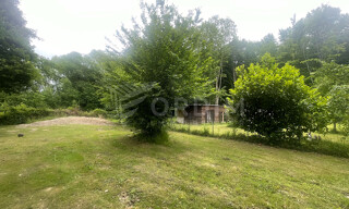Photo N° 5