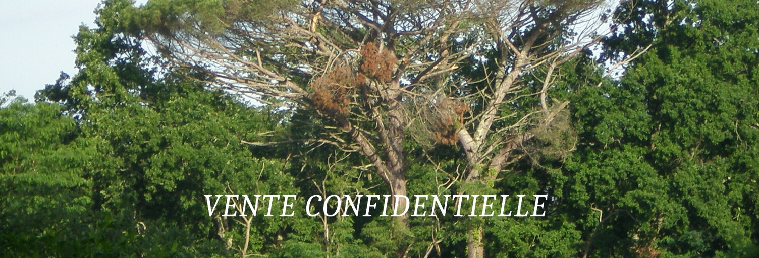 Maison 8 Pièces 209 m² à vendre à Audenge (33980)