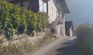 Photo N° 5