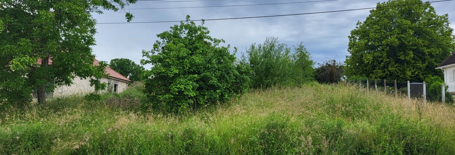 Terrain  772 m² à vendre à Montiéramey (10270)