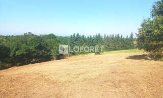 Terrain  3970 m² à vendre à Salt-en-Donzy (42110)
