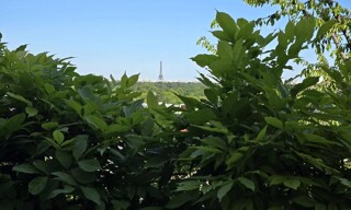 Photo N° 4