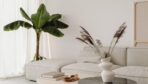 Appartement 3 pièces  à vendre Andernos-les-Bains 33510