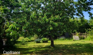 Photo N° 15