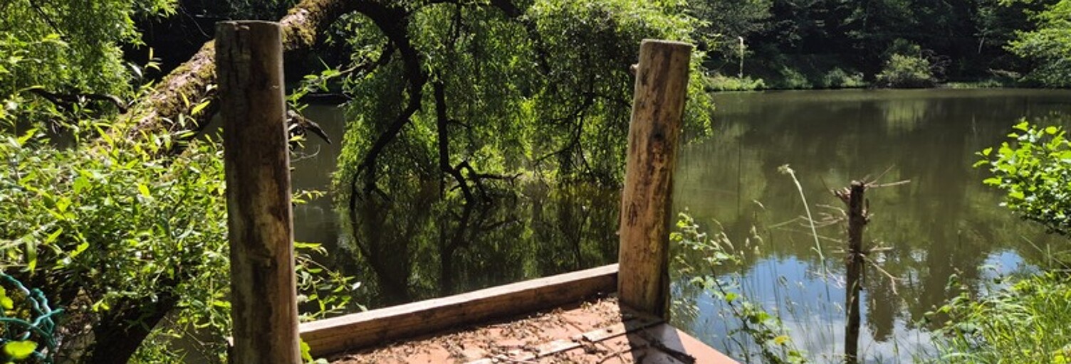 Commerce  18994 m² à vendre à Pressignac (16150)