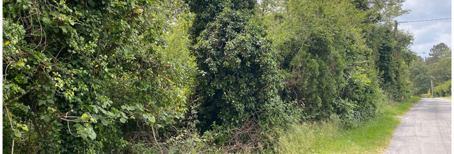 Terrain  2600 m² à vendre à Saint-Romain-et-Saint-Clément (24800)