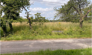 Photo N° 4