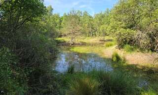 property.type.service  231782 m² à vendre à Montereau (45260)