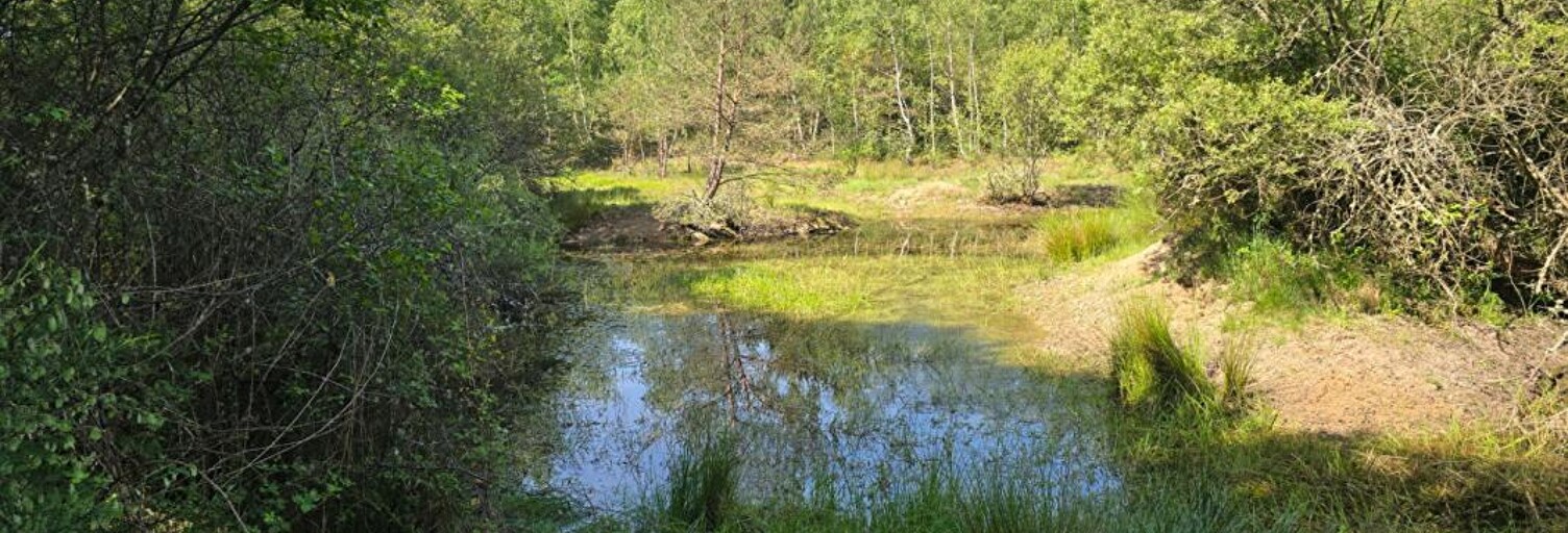 property.type.service  231782 m² à vendre à Montereau (45260)