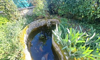 Photo N° 3
