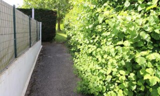 Photo N° 3