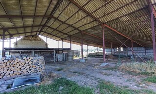 Photo N° 6
