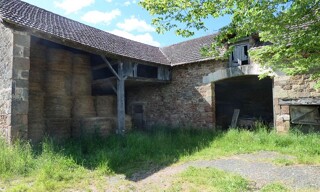 Photo N° 4