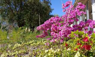 Maison 13 Pièces 261 m² à vendre à Morlanne (64370)