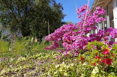 Maison 13 pièces 226000 €