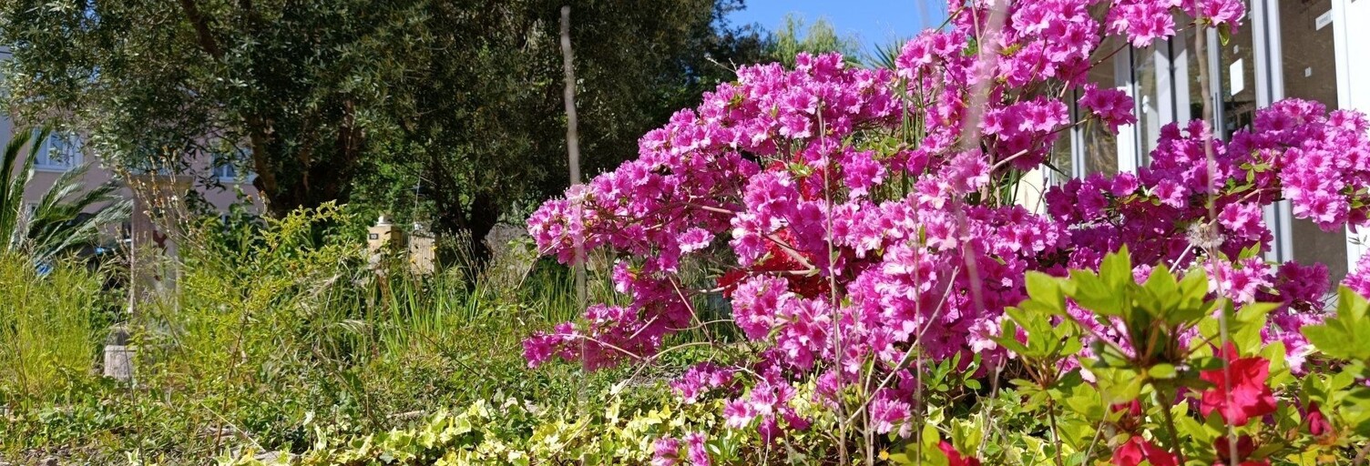 Maison 13 Pièces 261 m² à vendre à Morlanne (64370)