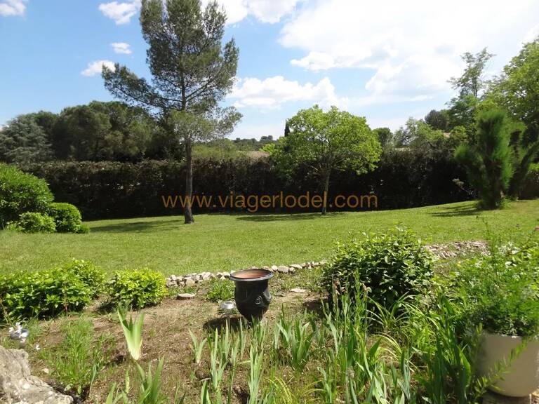 Réf. 10 117 - VIAGER OCCUPE LIBRE DANS 5 ANS - SAINT-CLEMENT-DE-RIVIERE (34) — photo 1