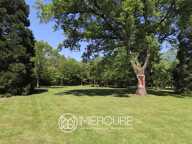 PROPRIETE AVEC ETANG ET MAISONS ANNEXES — photo 4