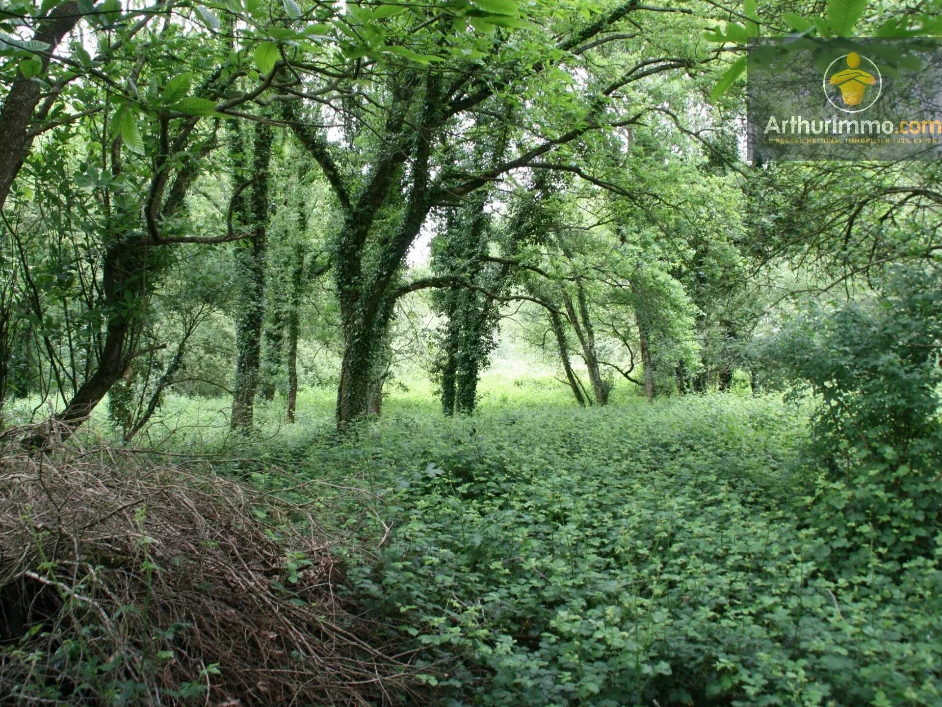Vente Terrain 53650 m2 à Crédin · 34 000 €