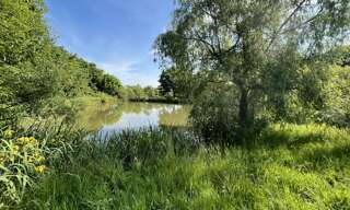 Terrain  5650 m² à vendre à Mers-sur-Indre (36230)