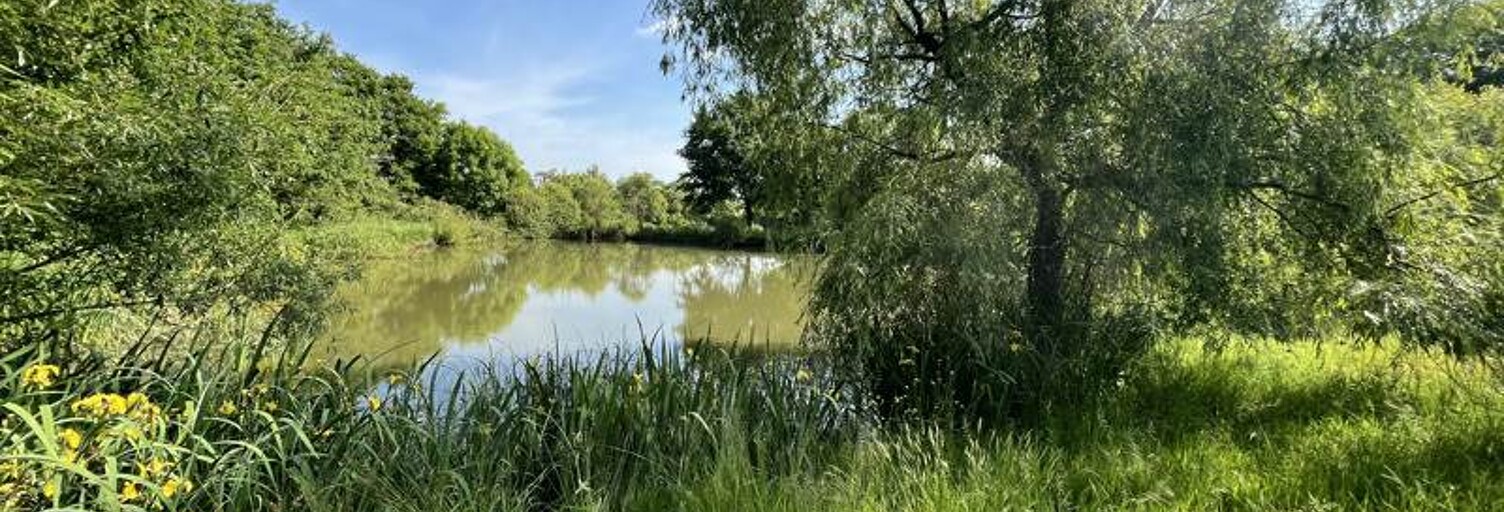 Terrain  5650 m² à vendre à Mers-sur-Indre (36230)